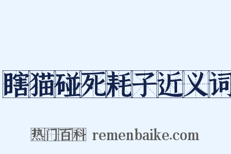 瞎猫碰死耗子近义词是什么意思的图片